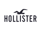 Hollister discount code